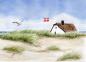 Preview: Postcard DIN-A6   House in the dunes  DK14